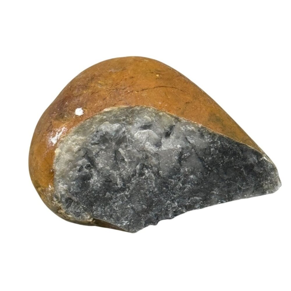 Polished Fossilized Stone Half With Natural Brown & Gray Hues 2x1.5" READ